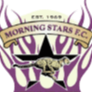 晨星logo