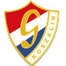 格瓦达科沙林logo