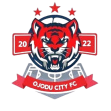奥约杜市青年队logo