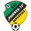 皮里奥威克logo