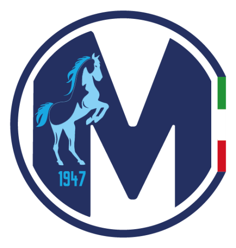 玛蒂娜U19logo