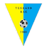 特史克兰logo