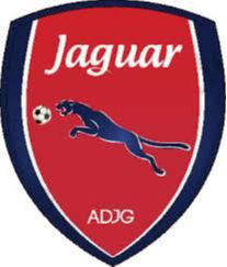 PE美洲虎U20logo