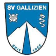 SV加利钦logo