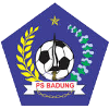 PS巴东logo