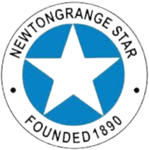 新东区星logo