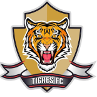 锡帕基拉老虎U19logo