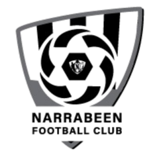 纳拉宾logo