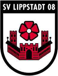 利普斯塔特08logo