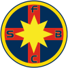 布加勒斯特星U19logo