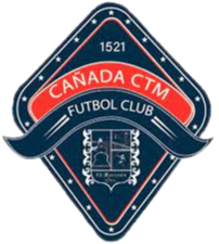 黑雁CTMlogo