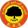 ES扎茲斯logo