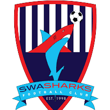 SWA鲨鱼logo