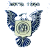 KSA青年logo