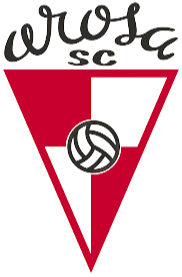 阿罗萨U19logo