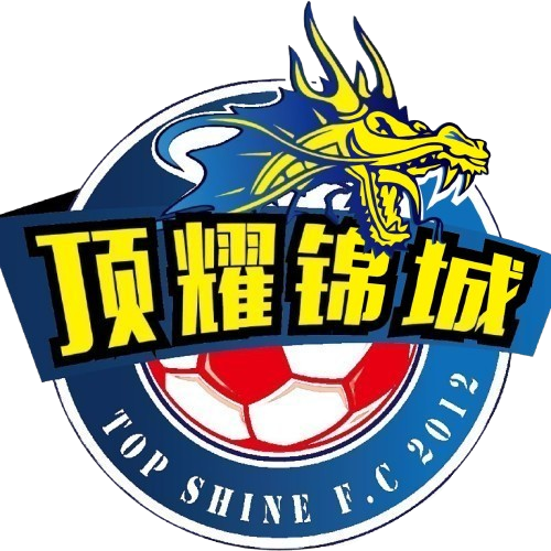 成都顶耀锦城logo
