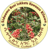 西达玛布纳女足logo