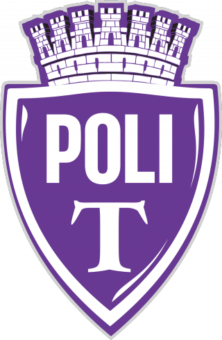 蒂米索拉logo