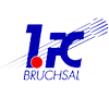 布鲁赫萨尔FClogo