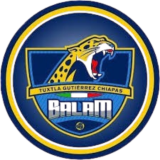 巴兰logo