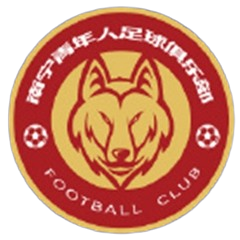 南宁青年人logo