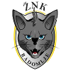 ZNK拉多姆耶logo