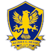 复古体育青年队logo