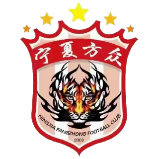 宁夏人方众logo