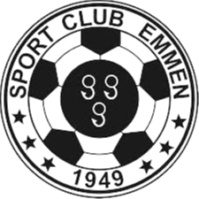 埃门logo