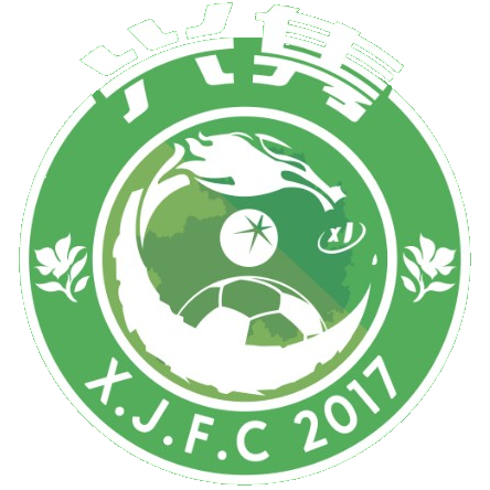 深圳兴隽logo