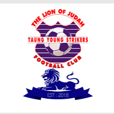 东扬前锋logo