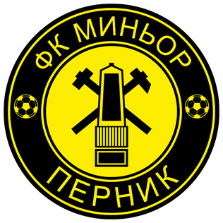 匹尼克logo