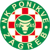 NK波尼科夫logo