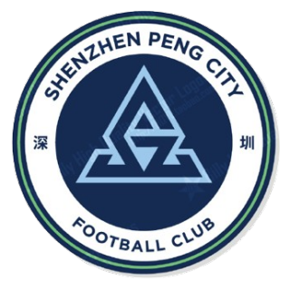 深圳新鹏城U15logo