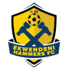 埃昆代尼铁锤logo