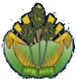 樟坎普logo