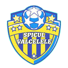 斯皮瓦勒logo