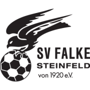 施泰因费尔德logo
