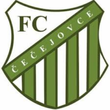 德鲁兹特夫尼克logo