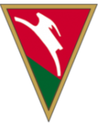 卢布林安卡logo