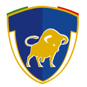 塞拉亚B队logo