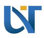 CSU西蒂米什瓦拉大学logo