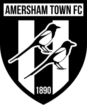 阿默舍姆镇logo
