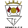 塞内卡U19logo