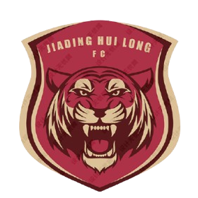 上海嘉定汇龙U15logo