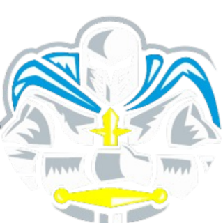 南方骑士logo