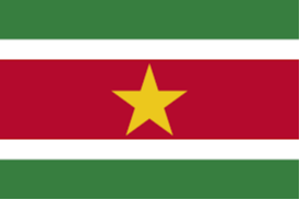苏利南U20logo