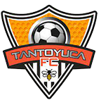 坦托尤卡logo