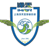 上海泽天logo