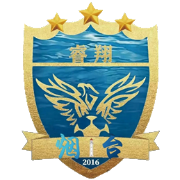 烟台睿翔logo